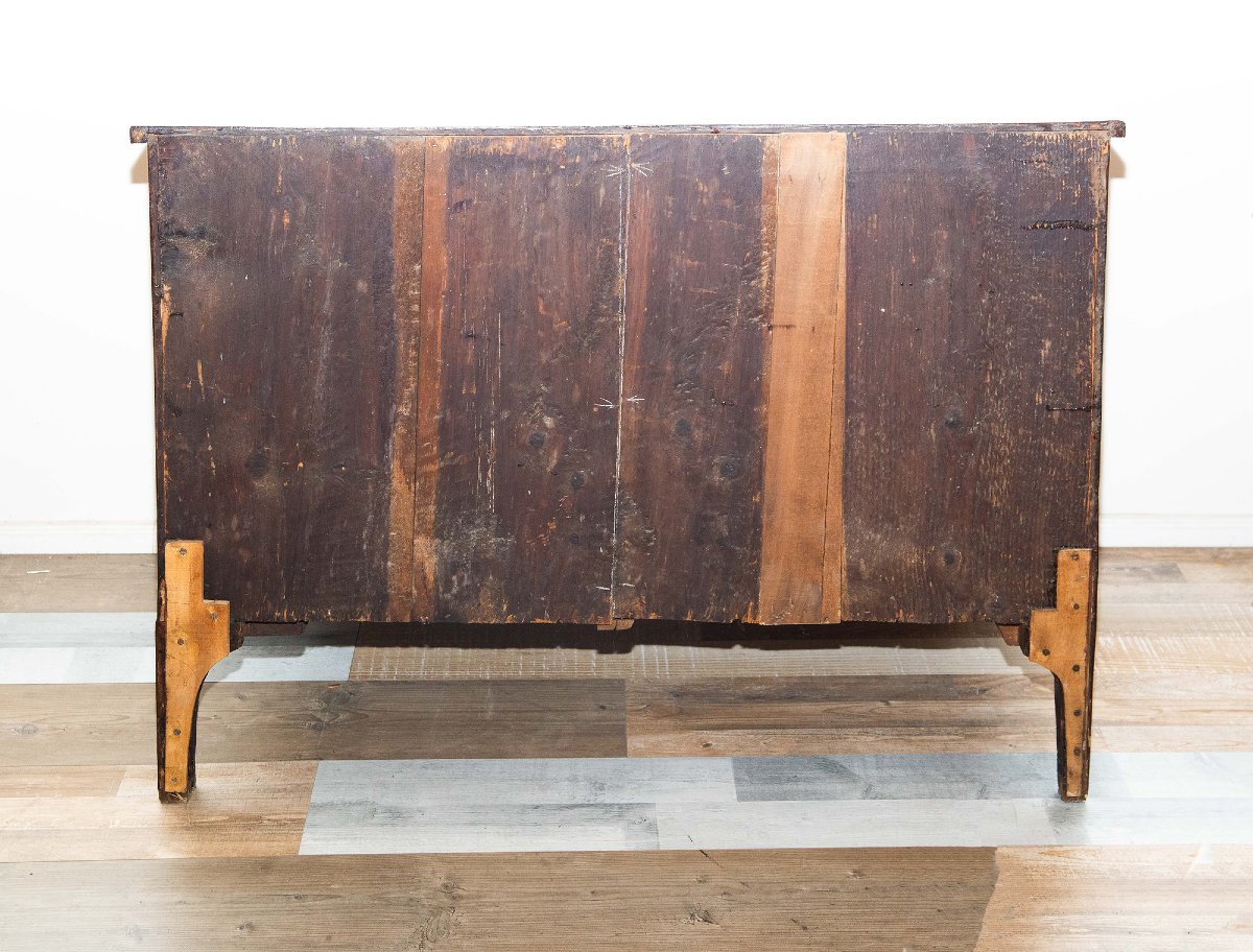Commode piémontaise  XVIIIe siècle – Style Louis XVI  -photo-3