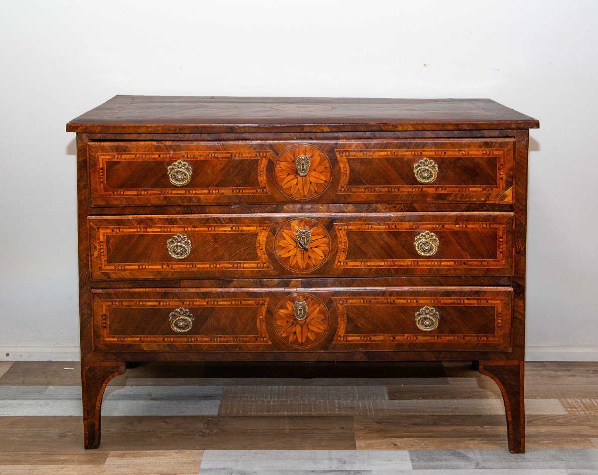 Commode piémontaise  XVIIIe siècle – Style Louis XVI  -photo-1