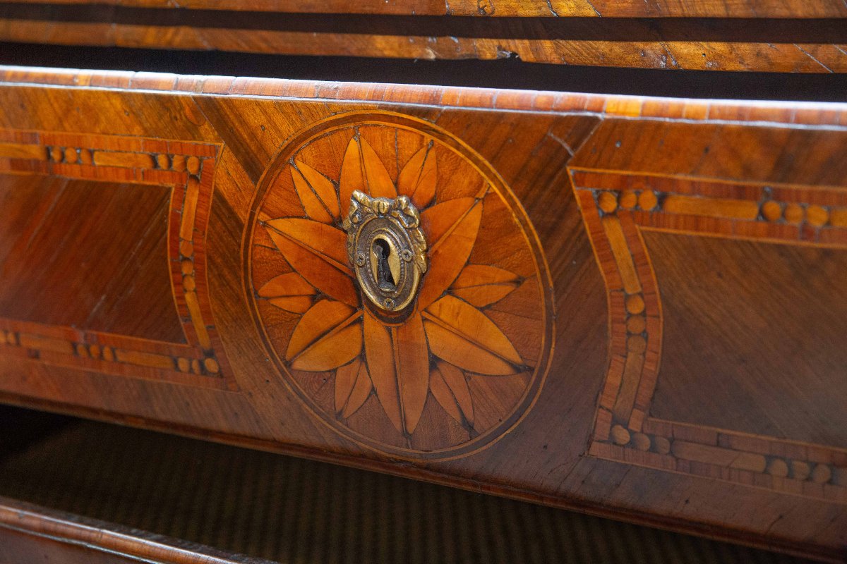 Commode piémontaise  XVIIIe siècle – Style Louis XVI  -photo-6