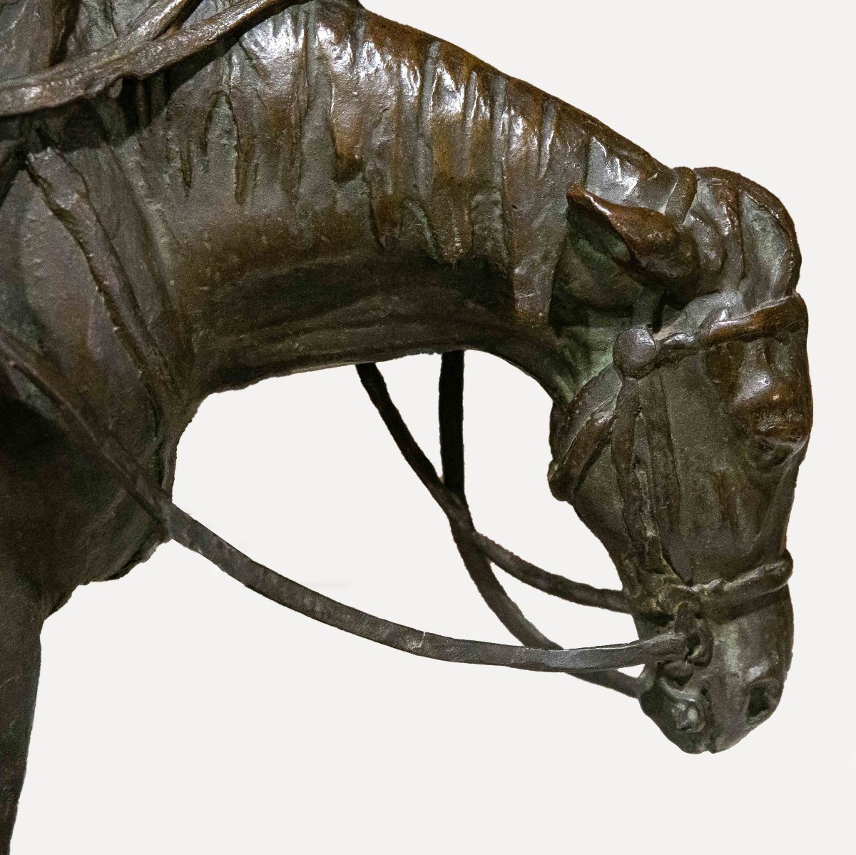 Riccardo Ripamonti, "knight," Signed, Early 20th Century-photo-5