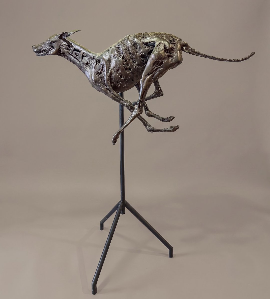 Sebastiano Trovato, "greyhound," In Bronze, Signed, 1975-photo-2