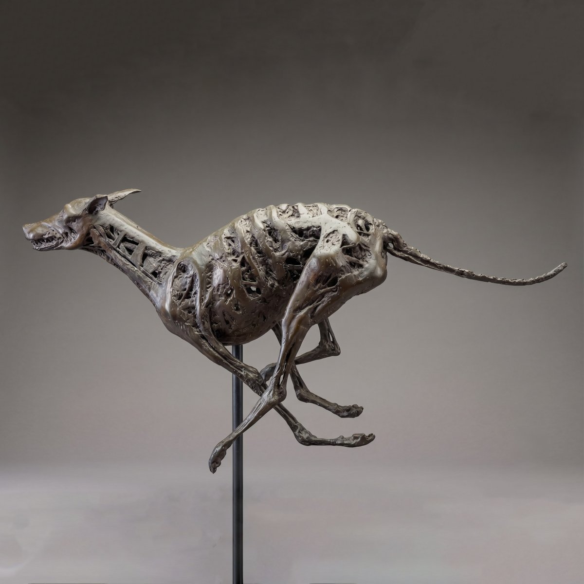 Sebastiano Trovato, "greyhound," In Bronze, Signed, 1975