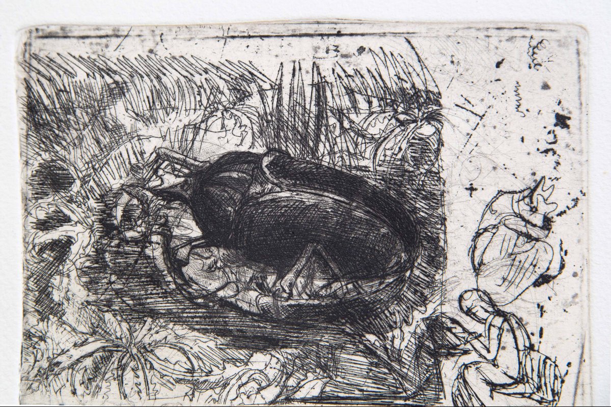Luigi Bartolini « Scarabeo », eau-forte, XXe siècle-photo-3