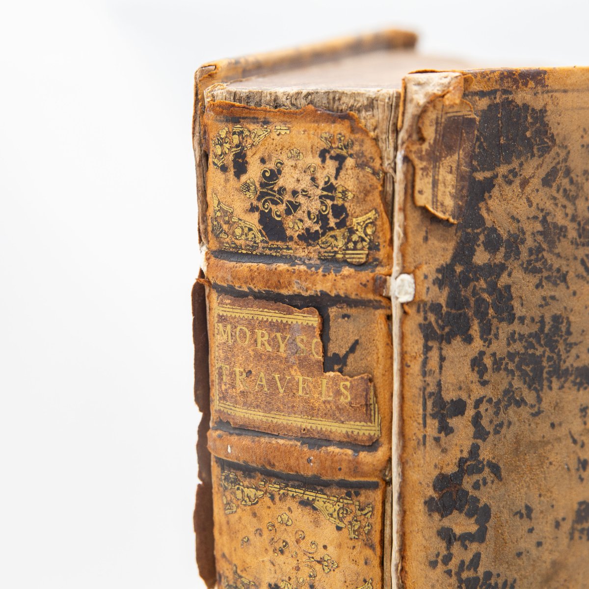Livre ancien, « An Itinerary Written By Fynes Moryson Gent. », 1617-photo-2