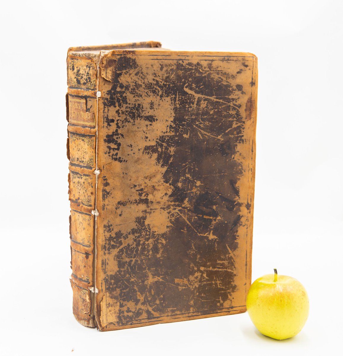 Livre ancien, « An Itinerary Written By Fynes Moryson Gent. », 1617-photo-3