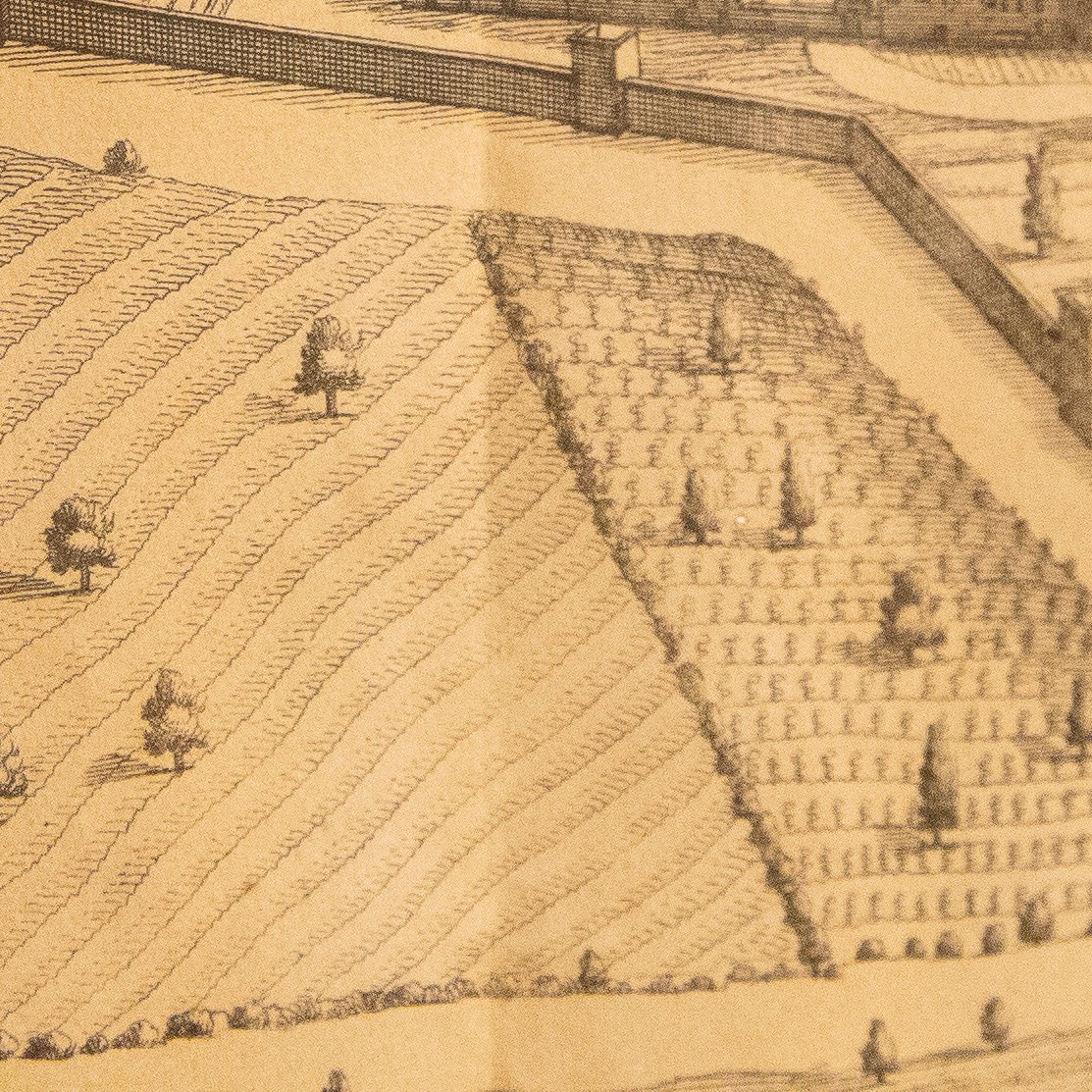 Vue de la ville de Biella, « Bugella civitas (Biella) », édition de 1725-photo-2