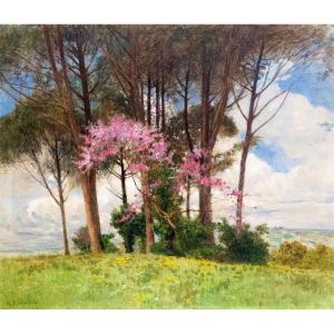 Carlo Pollonera, "flowering", Huile Sur Toile, Signée, Début Du 20e Siècle