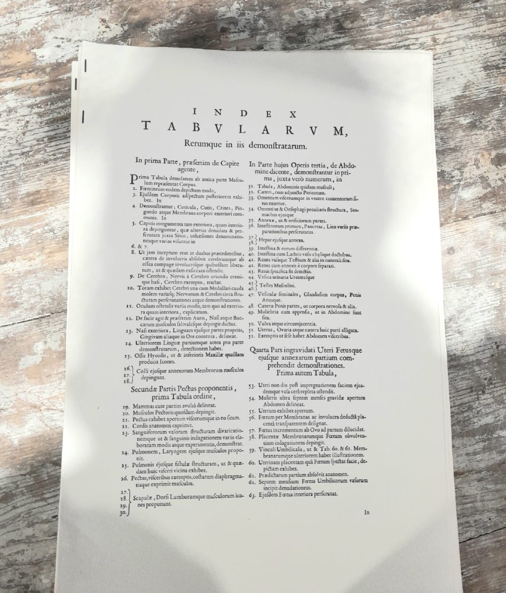 Godefridi Bidloo, De Humani Corporis, 1685 fac-similé non relié, 105 planches-photo-2