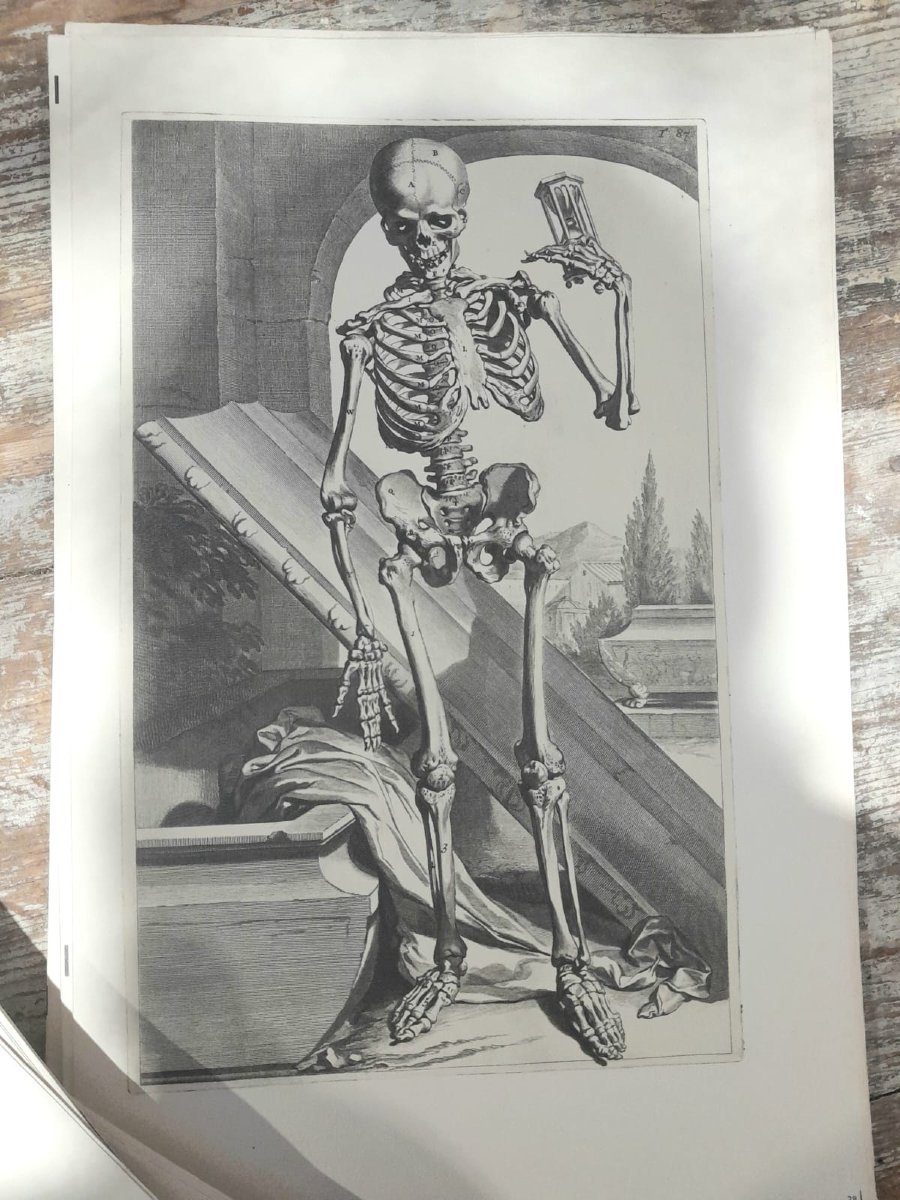 Godefridi Bidloo, De Humani Corporis, 1685 fac-similé non relié, 105 planches-photo-3