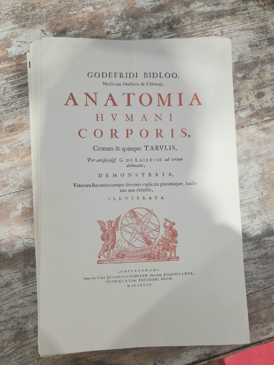Godefridi Bidloo, De Humani Corporis, 1685 fac-similé non relié, 105 planches-photo-4