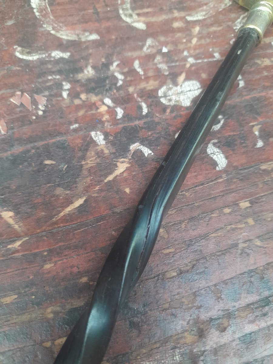 Loupe de bureau, métal et fanon de baleine, XIXÈME-photo-3