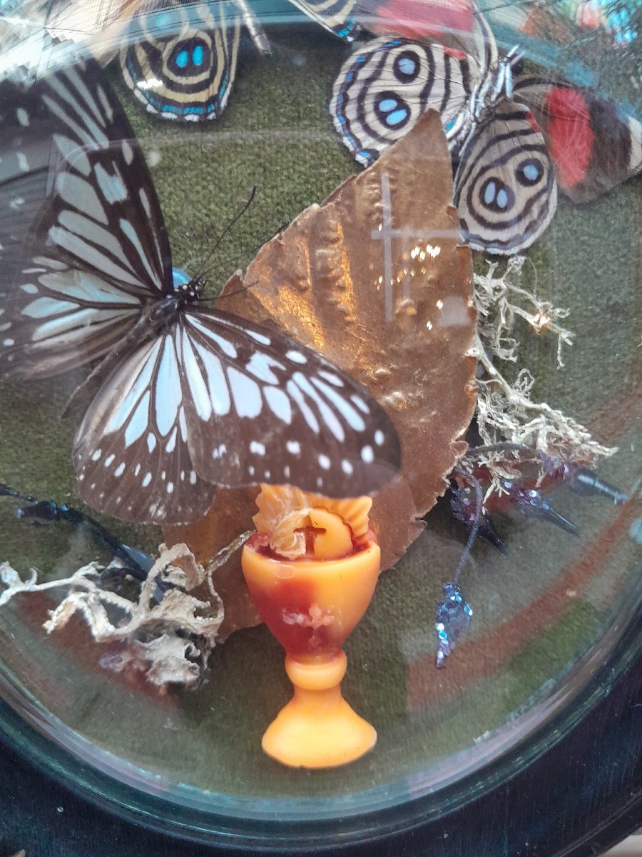 Cadre entomologique decoratif, Napoléon III-photo-1