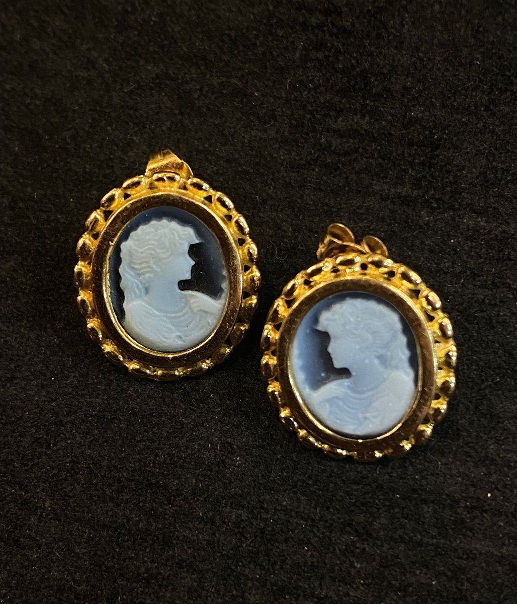 Une Paire De Boucles D’oreilles Camée Bleu