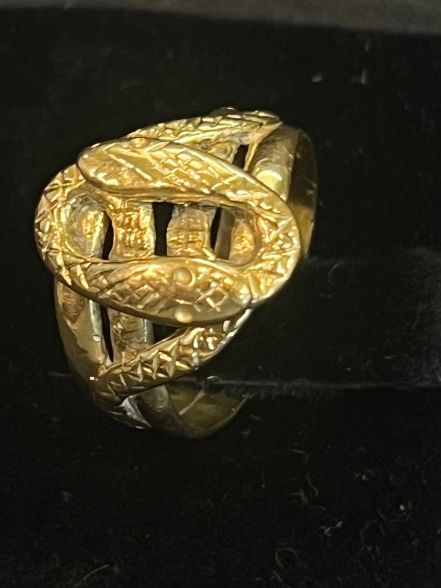 Snakes Ring-photo-4