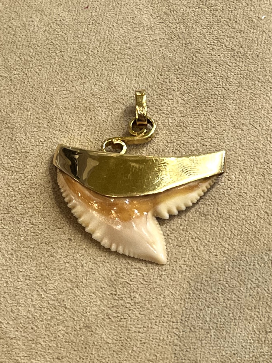 pendentif dent de requin -photo-2