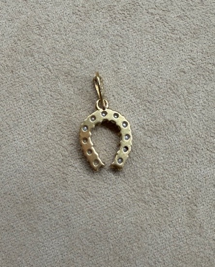 Horseshoe Pendant-photo-4