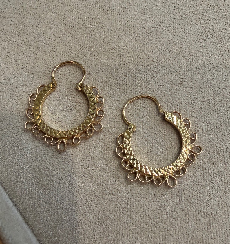 Intricately Crafted Hoop Earrings-photo-1