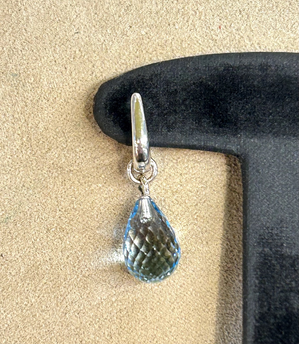 A Pair Of Earrings-photo-1