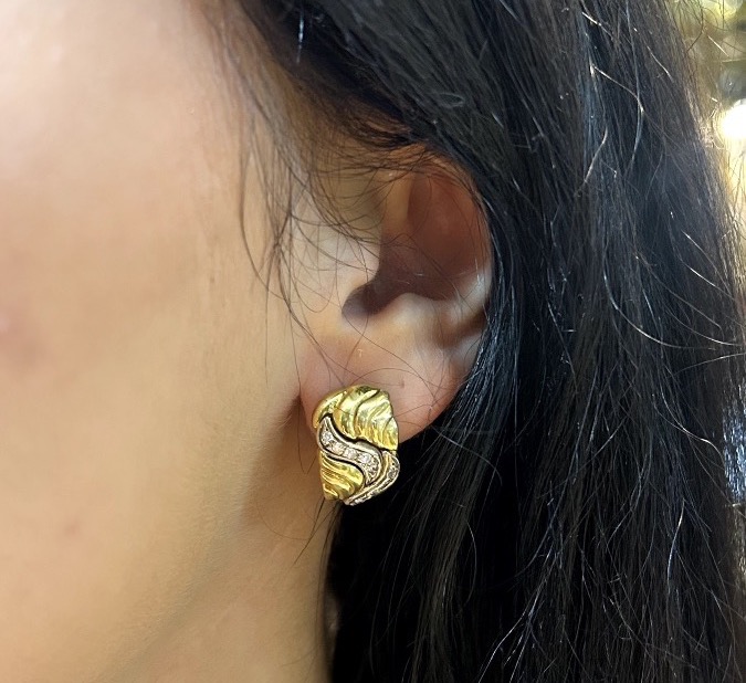 Une paire de boucles d'oreilles 