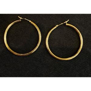 A Pair Of Creole Earrings