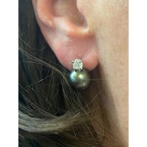 A Pair Of Gray Pearl And Diamond Earrings 