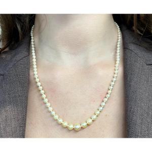 collier perles de culture