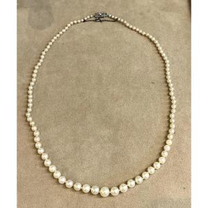 collier perles de culture