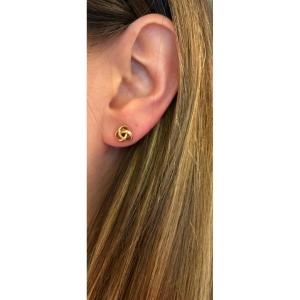 Boucles d'oreille enlacées