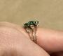 1835101-6ac9102ec6728.jpg