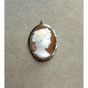 Broche Camée