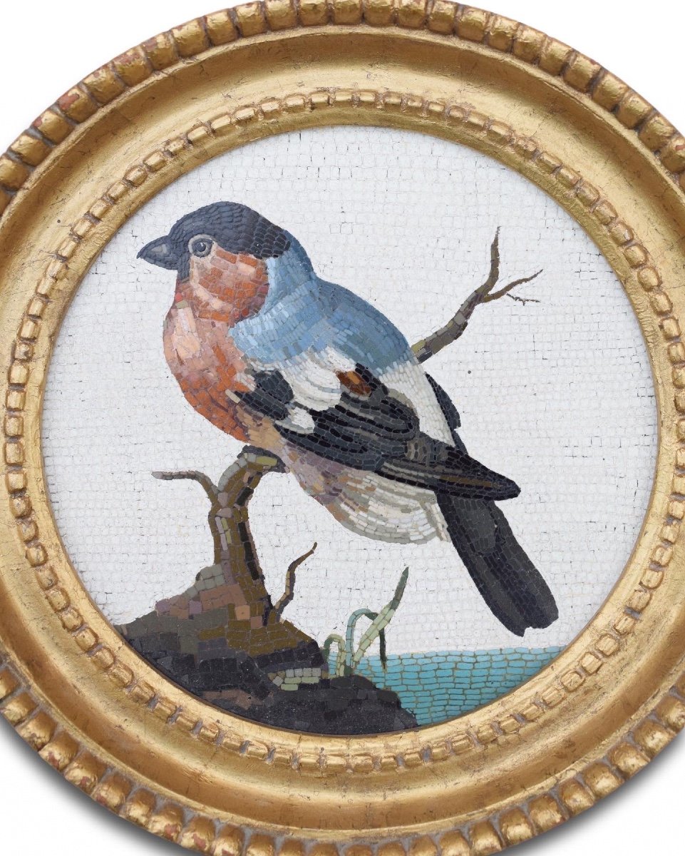 Large Framed Micromosaic Plaque With A Bull Finch. Rome, Circa. 1800.-photo-2