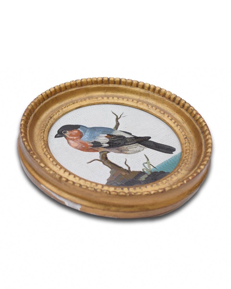 Large Framed Micromosaic Plaque With A Bull Finch. Rome, Circa. 1800.-photo-3