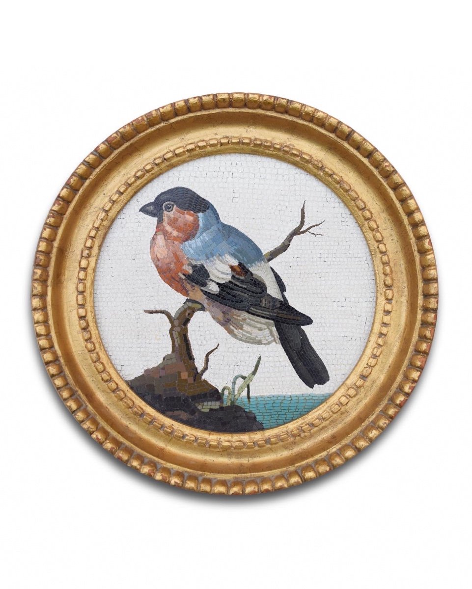 Large Framed Micromosaic Plaque With A Bull Finch. Rome, Circa. 1800.