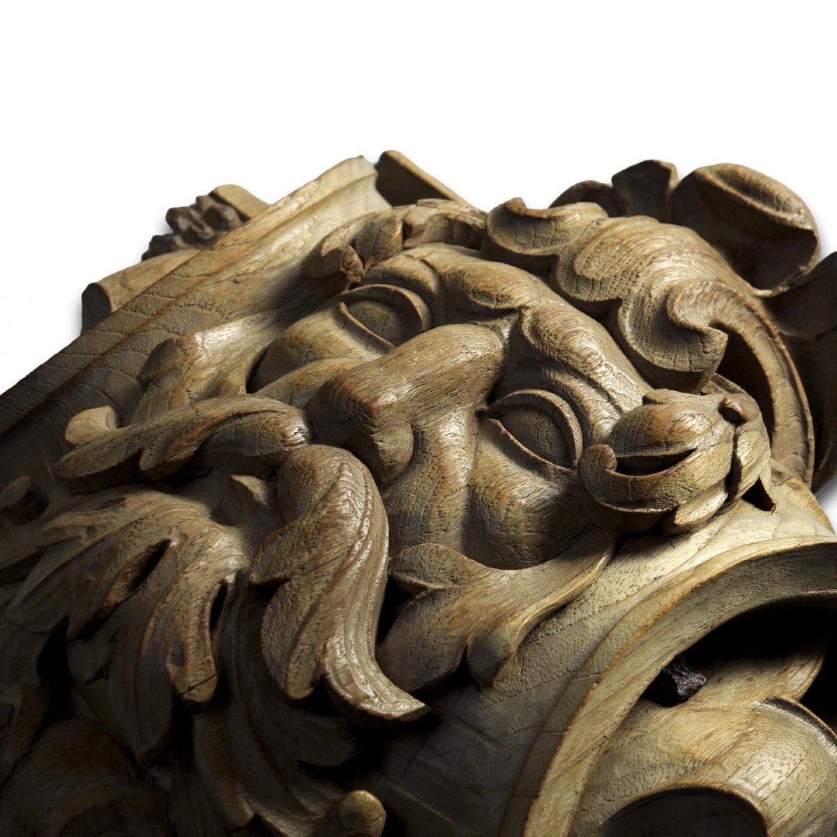 Relief Architectural En Chêne Sculpté d'Un Homme Vert. Flamand, XVIIIe Siècle. -photo-4