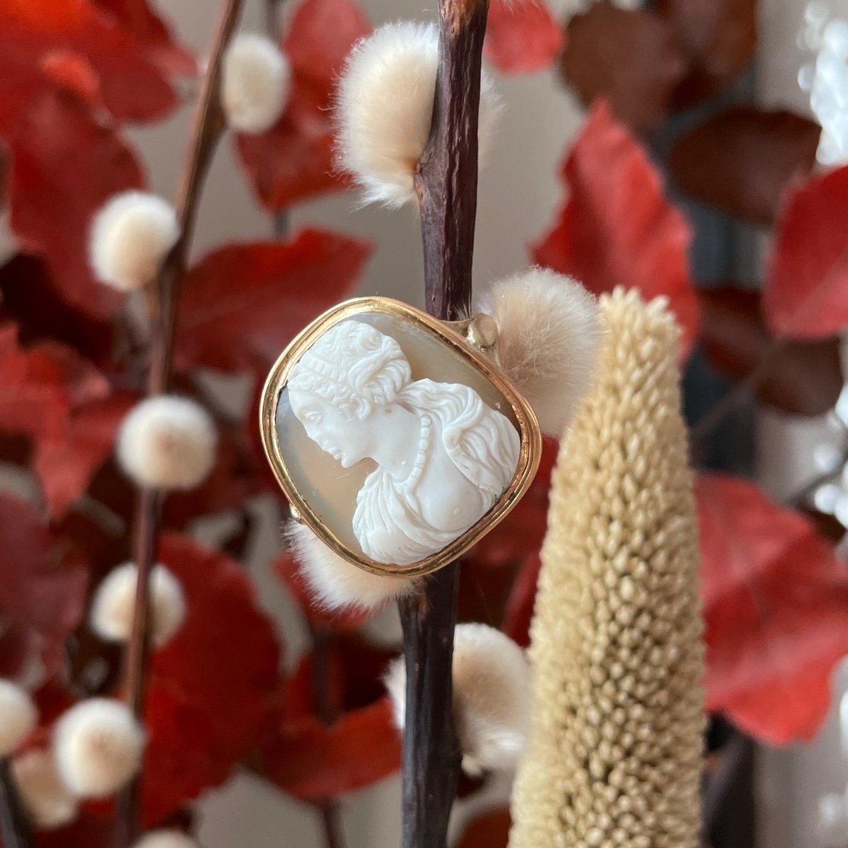 Renaissance Sardonyx Cameo Of Cleopatra. Italian, 16th Century.-photo-1