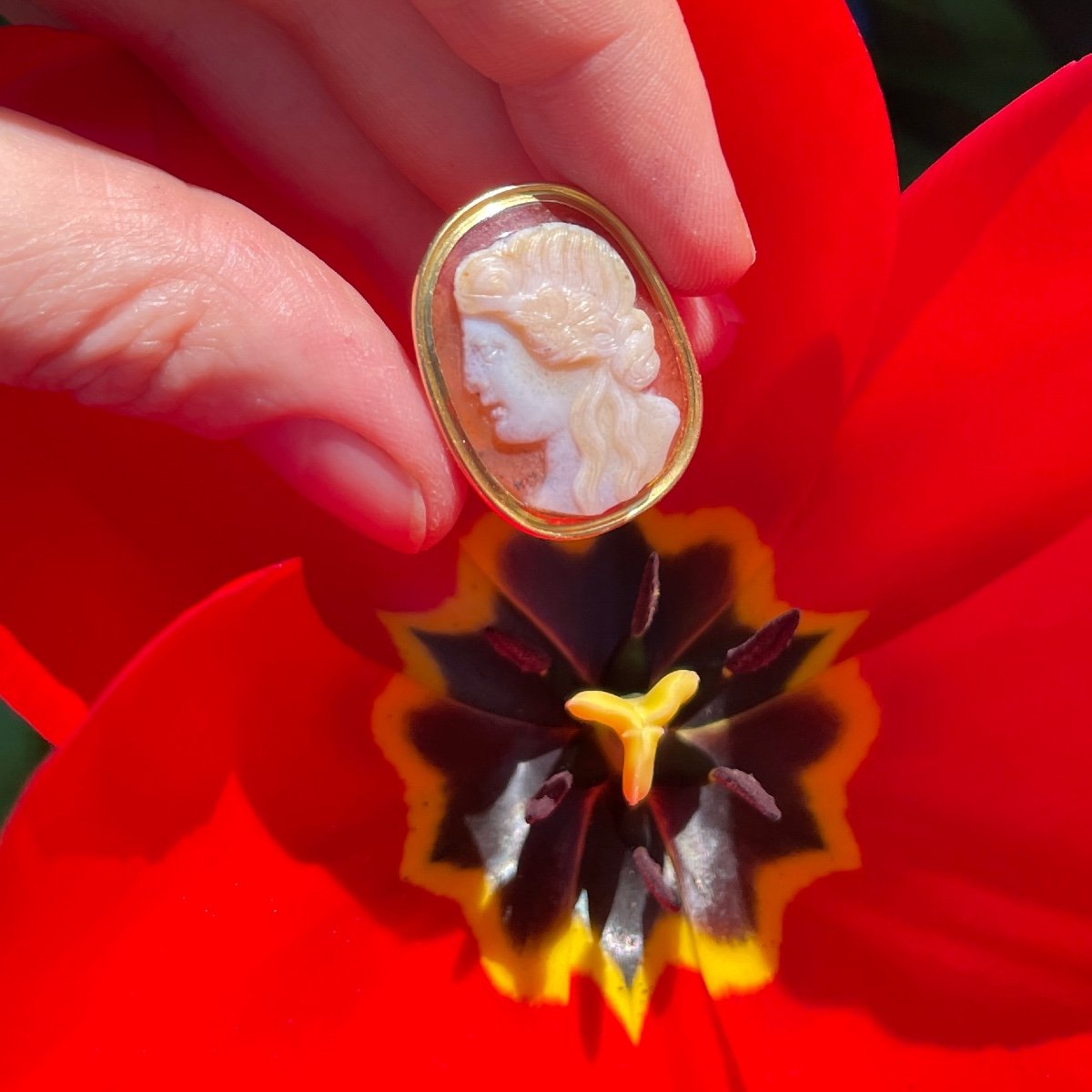Georgian Gold Ring Set With A Renaissance Cameo Of A Muse.-photo-1