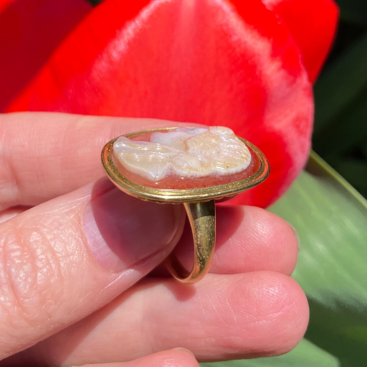 Georgian Gold Ring Set With A Renaissance Cameo Of A Muse.-photo-4