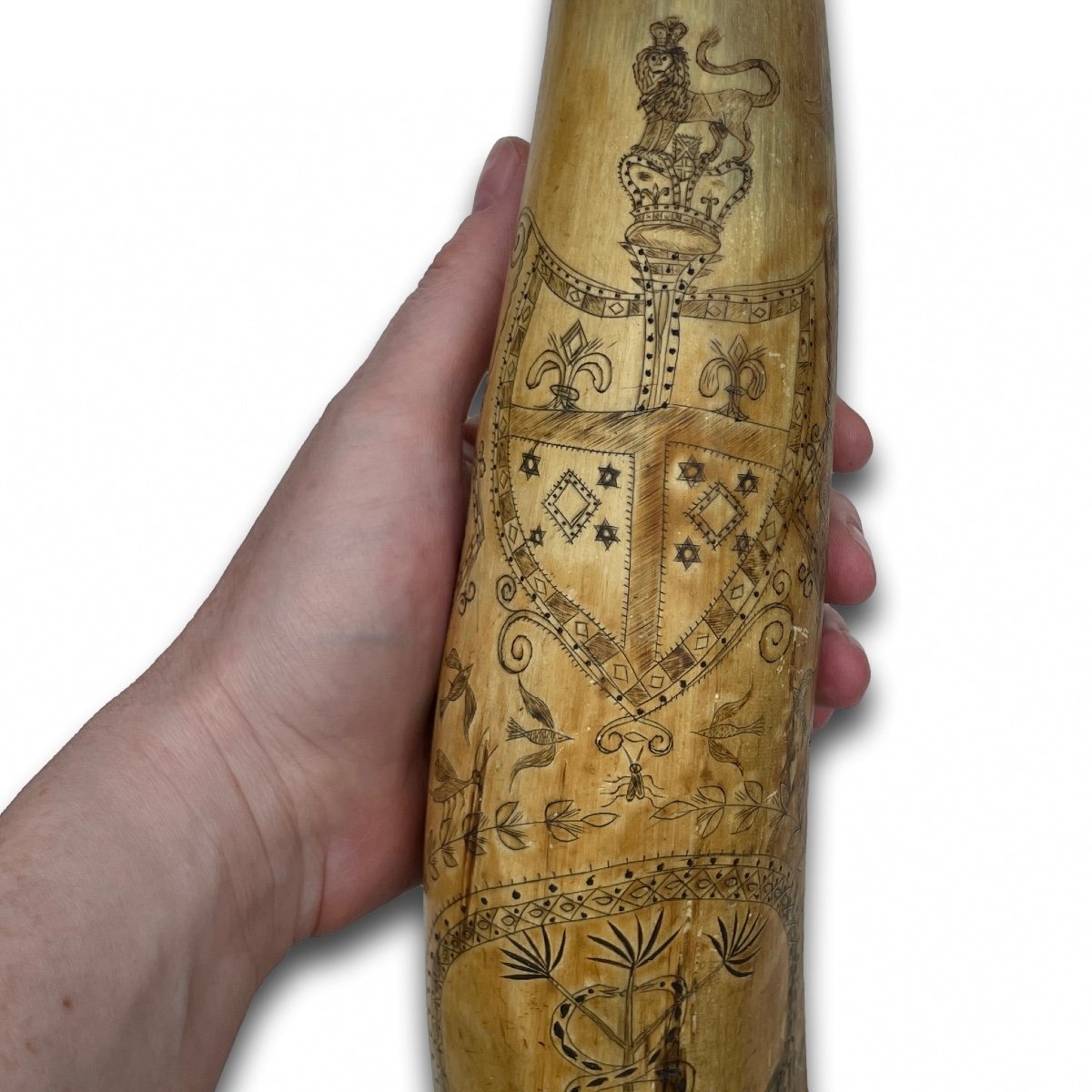 Engraved New South Wales Cow Horn Powder Flask. Australian, 19th Century.-photo-4