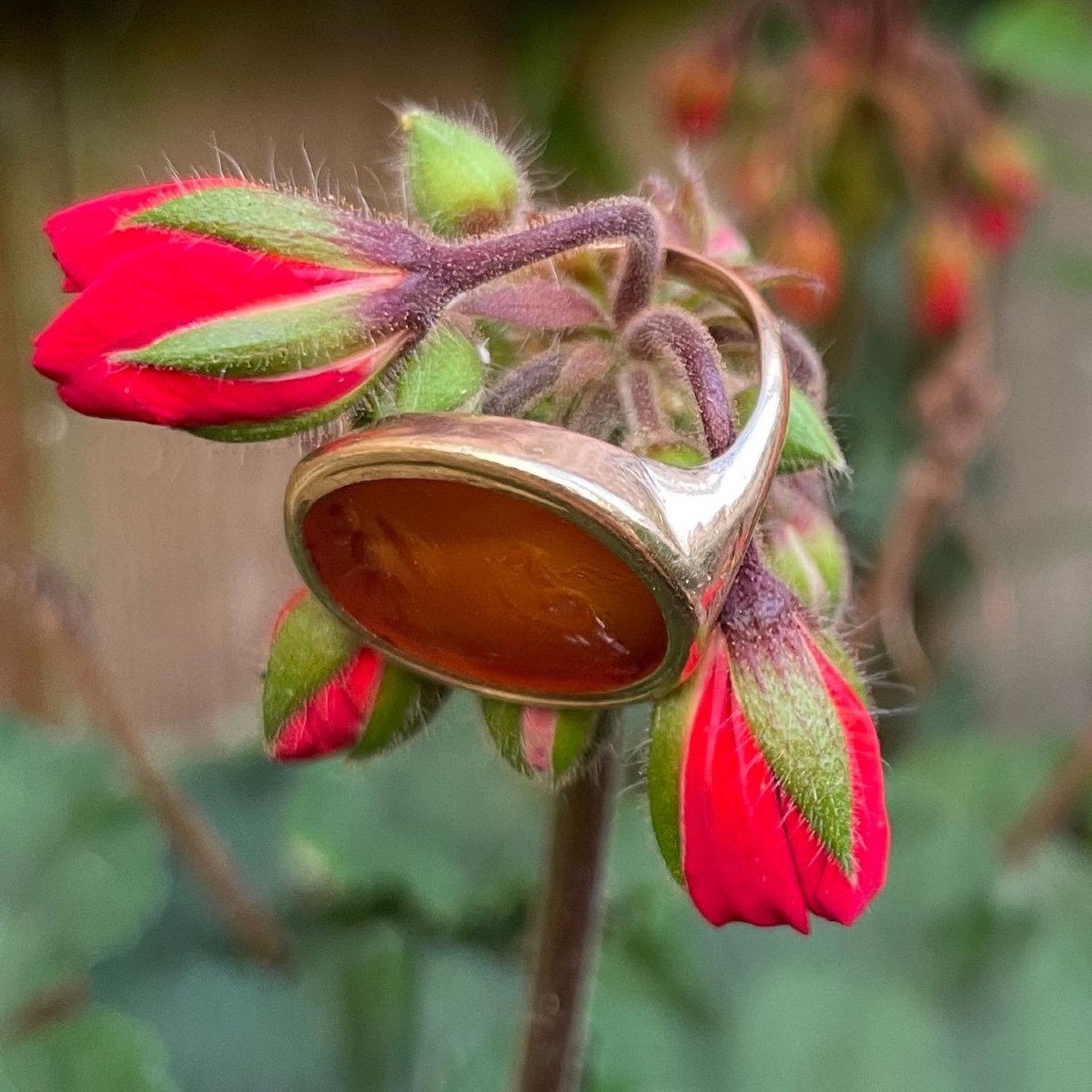 Bague en or avec une intaille romaine représentant une Minerve assise devant un trophée d'armure. -photo-7