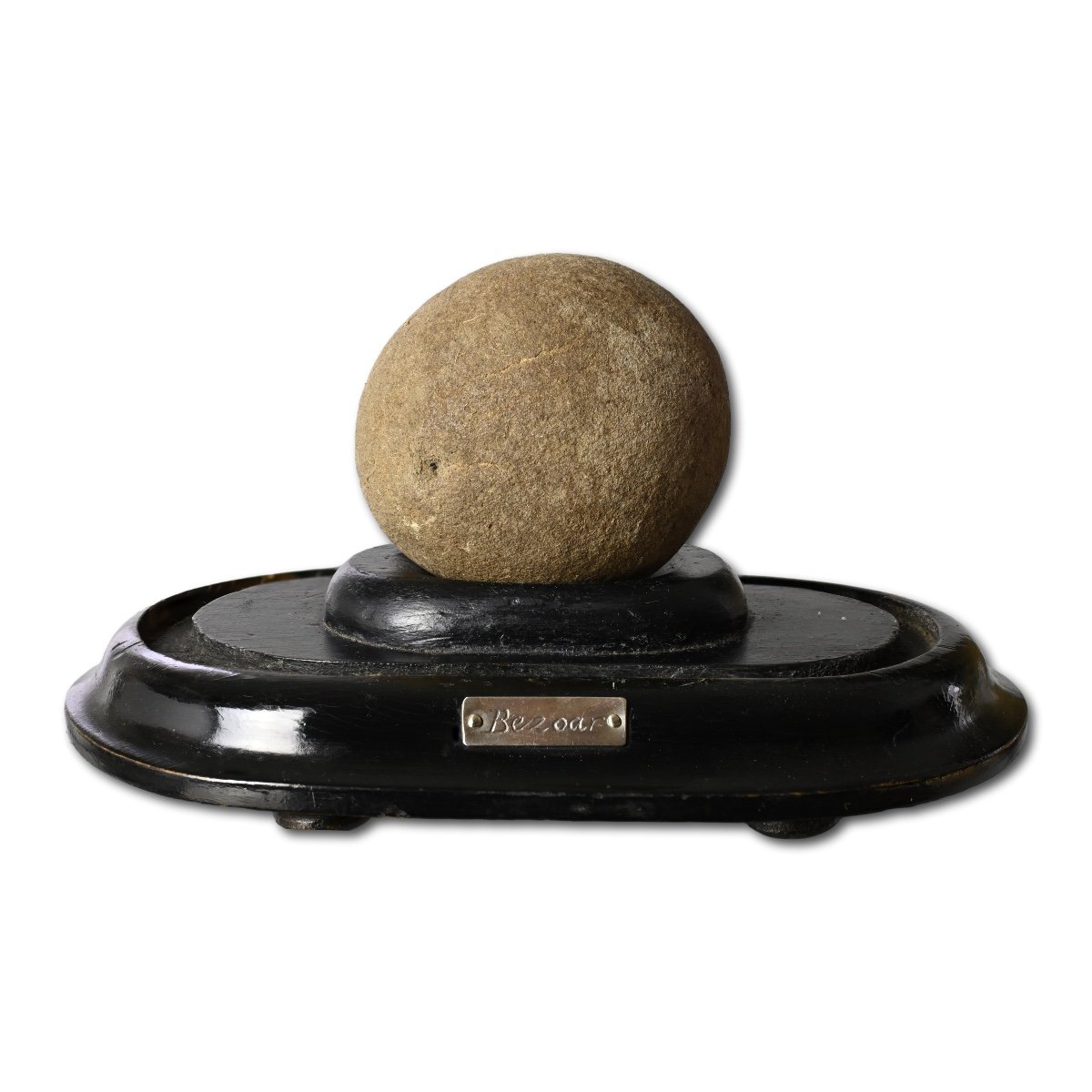 A Bezoar Stone In A Glass Dome.  English, 19th Century.-photo-4