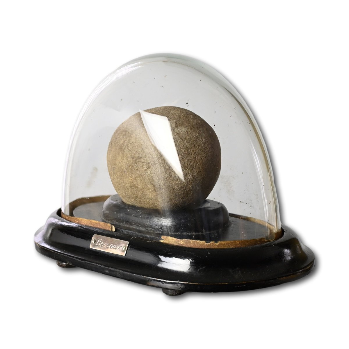 A Bezoar Stone In A Glass Dome.  English, 19th Century.-photo-4
