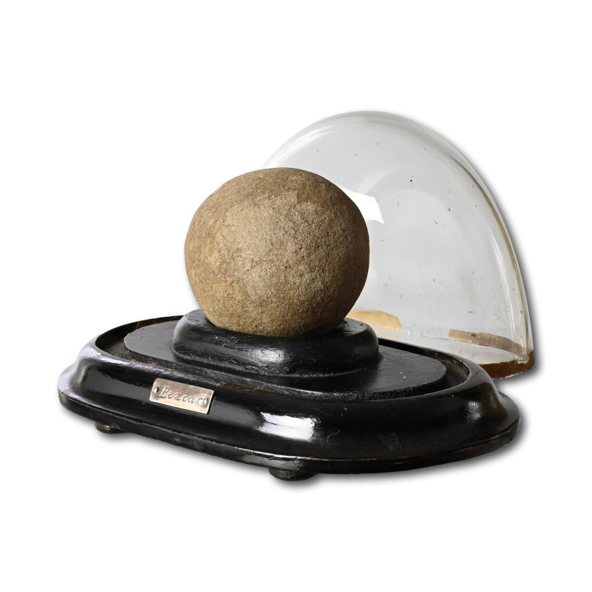 A Bezoar Stone In A Glass Dome.  English, 19th Century.-photo-5