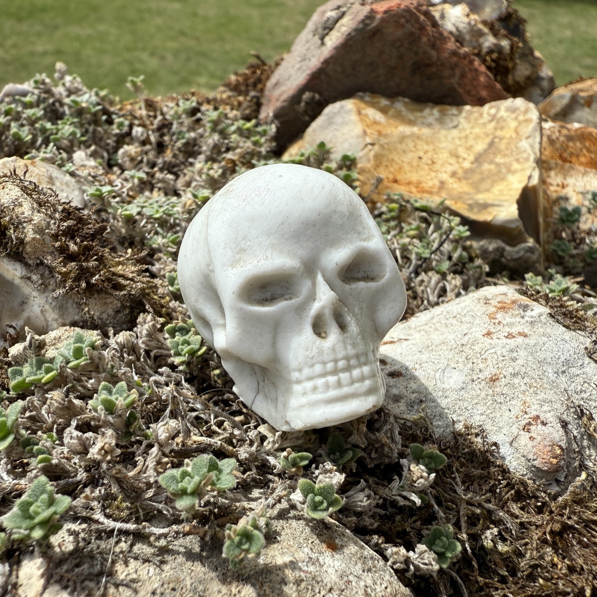 Porcelain Memento Mori Skull. Germany Or France, Second Half Of The 18th Century.-photo-2