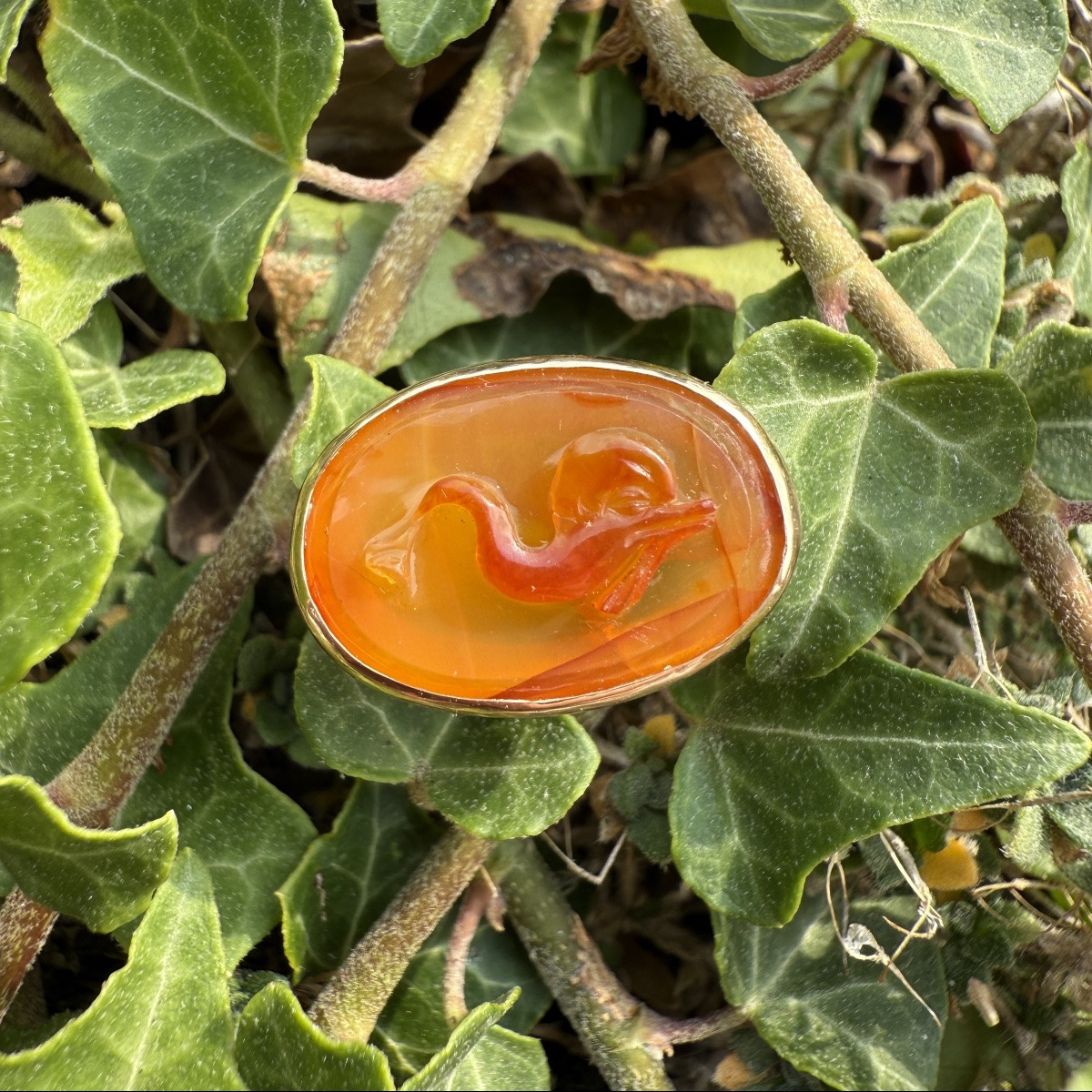 Bague en or avec camée représentant un dauphin. Camée, XVIe siècle ; monture de bague en or mod-photo-3