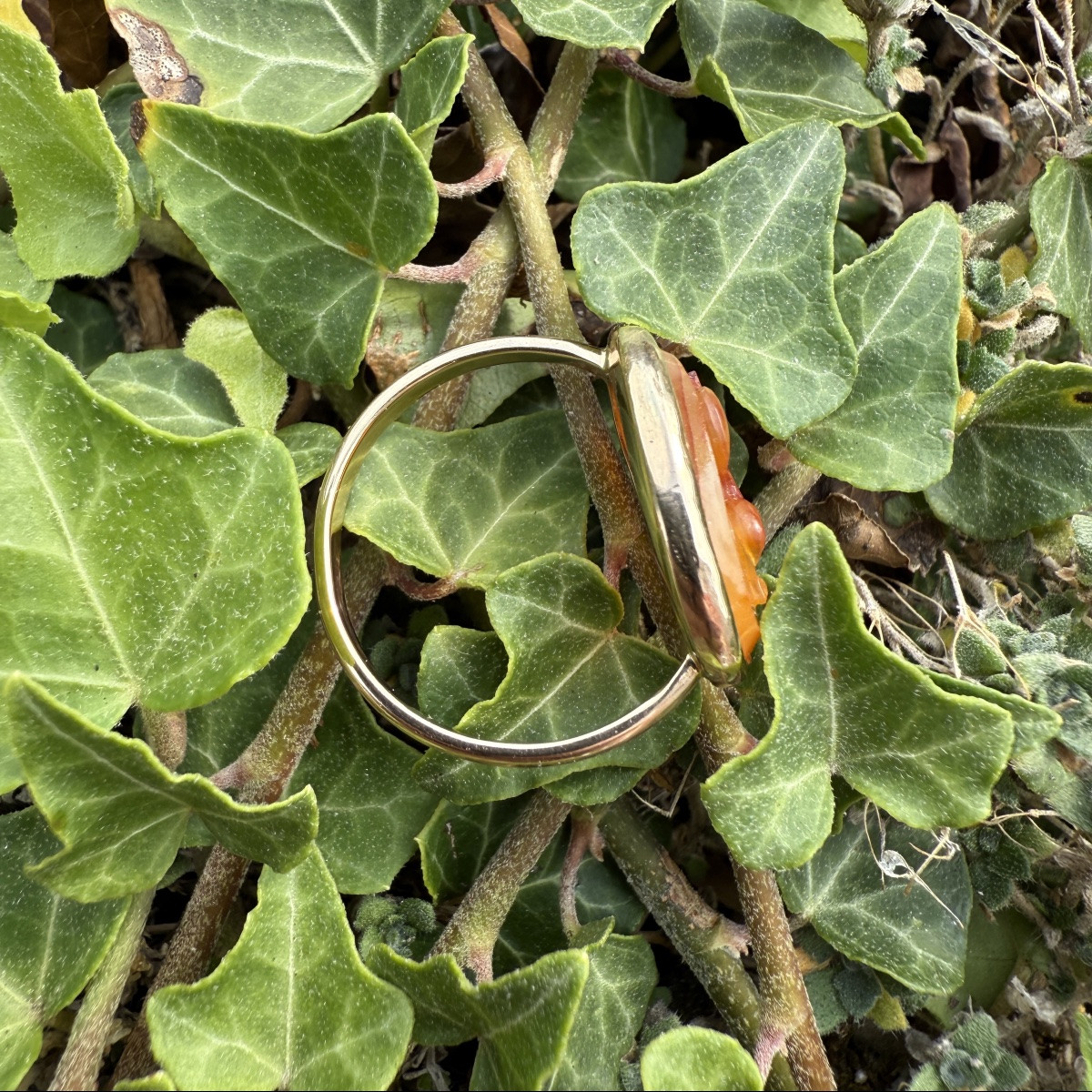 Bague en or avec camée représentant un dauphin. Camée, XVIe siècle ; monture de bague en or mod-photo-3