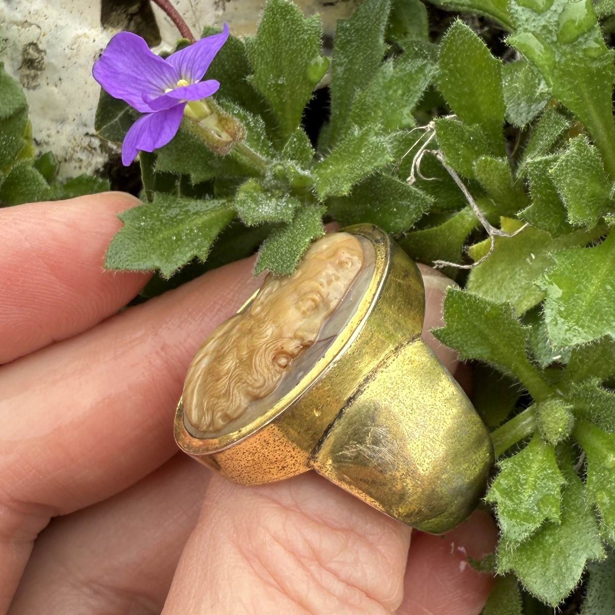 Bague camée représentant Silène. Italie ou Angleterre, vers 1800-1820.-photo-4