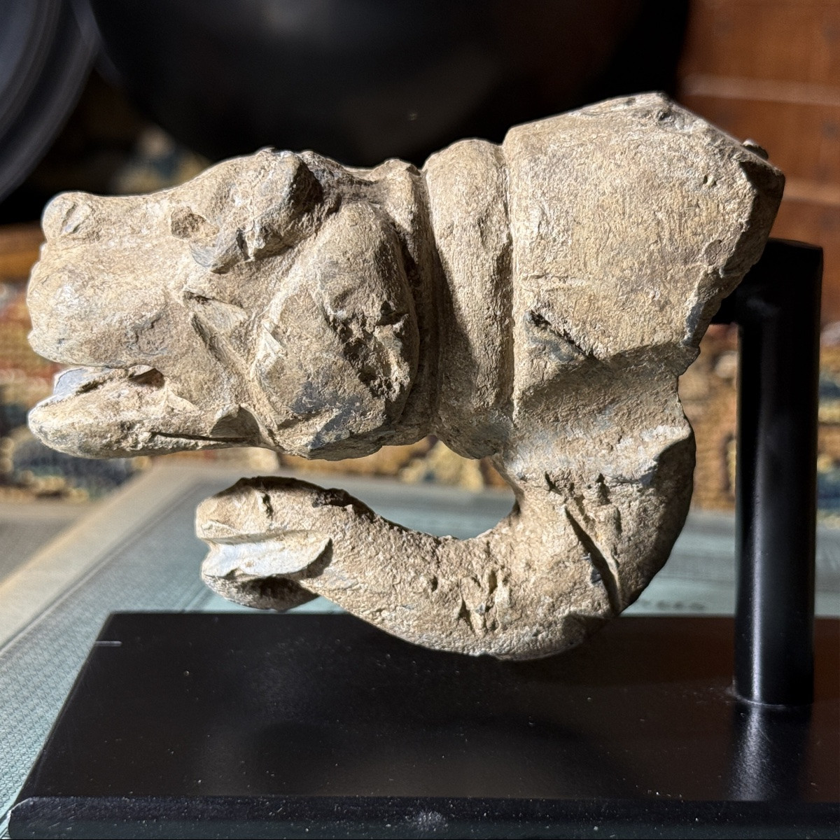 Bec verseur anthropomorphe en plomb en forme de chien. Angleterre, XVIe siècle.  -photo-5