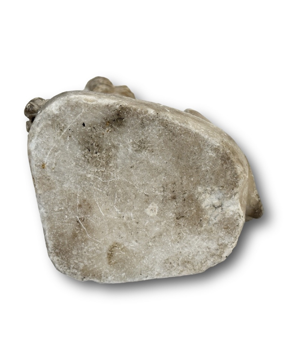 Lion héraldique en marbre à écusson fleur-de-lys. France, XVIIe siècle.  -photo-7