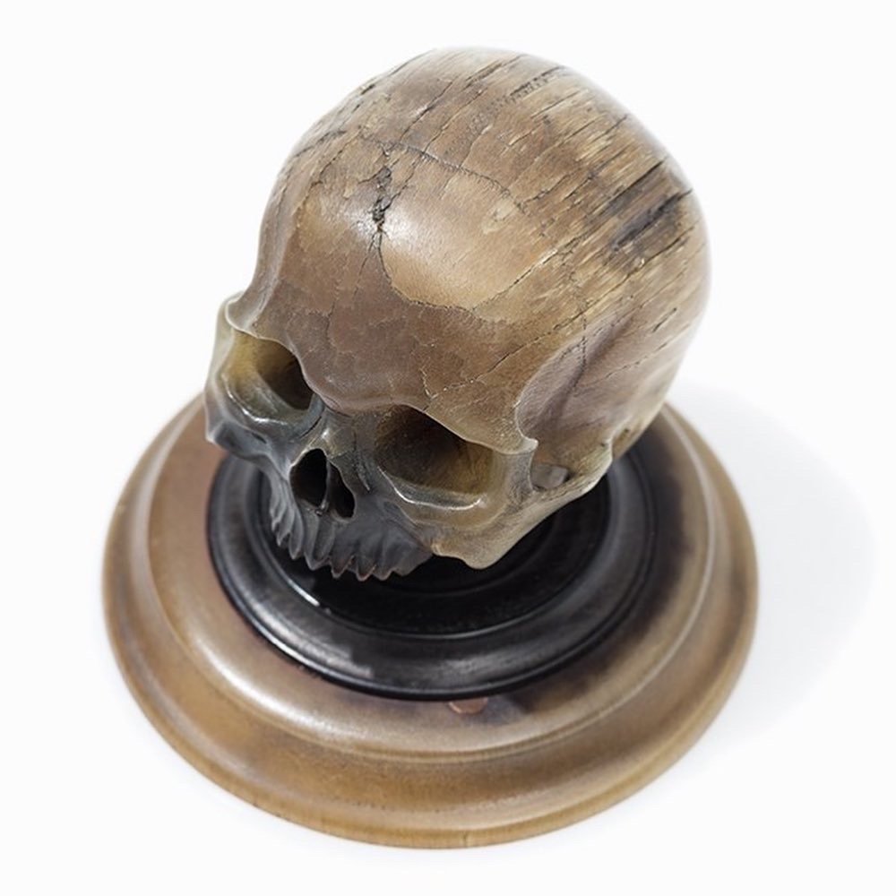 Sculpture En Corne Importante Et Anatomiquement Précise d'Un Crâne. Allemand, XVIIe Siècle.  -photo-6