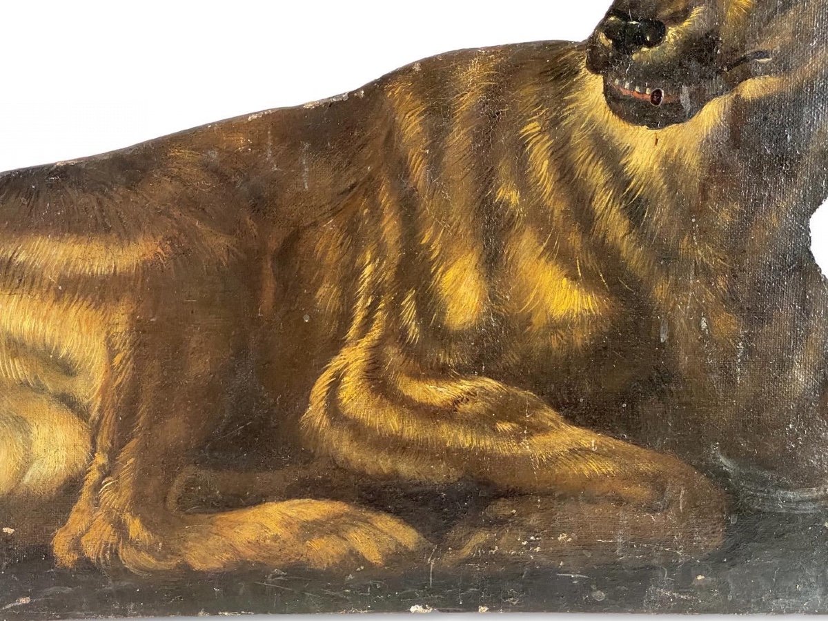 Dummy Board In The Form Of A Recumbent Dog. Italian, Late 17th Century.-photo-7